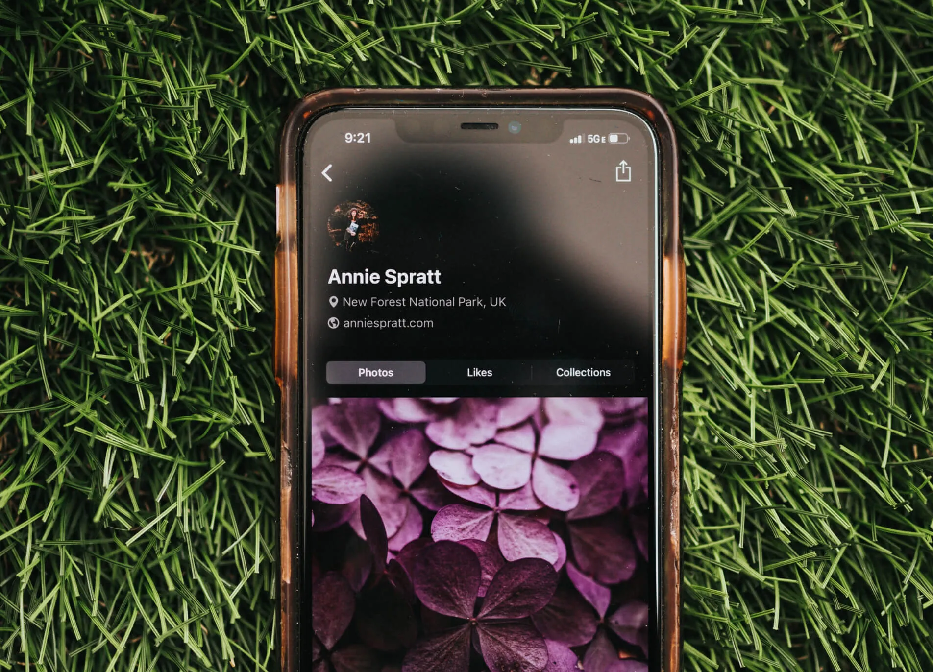 Website design